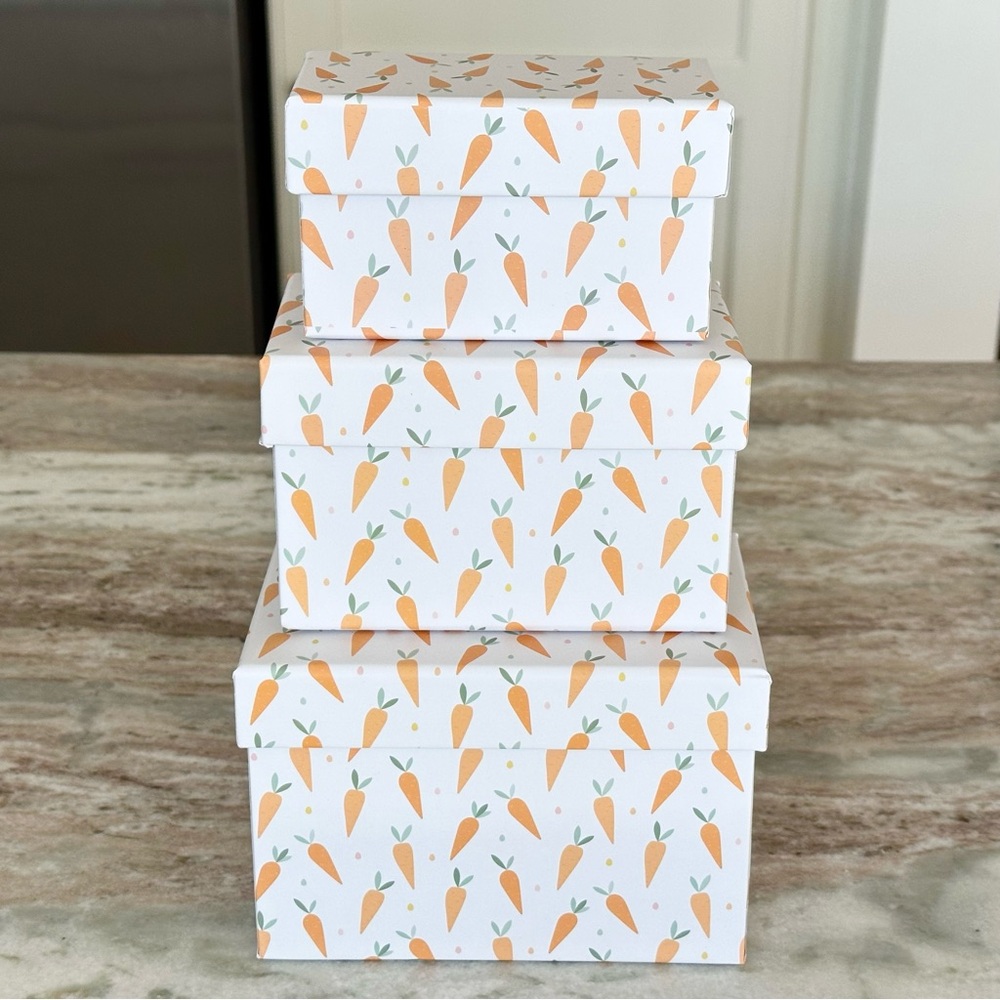 Decorative Carrot Print Spring Easter Gift Boxes / Storage Boxes- Set of 3